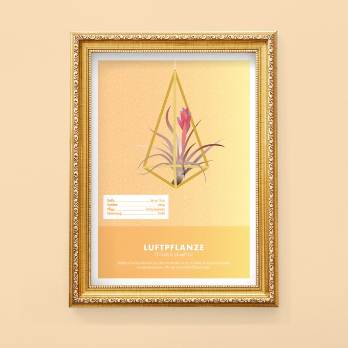 Hey Urban Monkey - A4 Poster - „Luftpflanze“