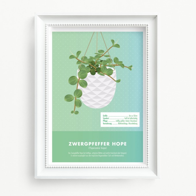 Hey Urban Monkey - A4 Poster - „Zwergpfeffer hope“