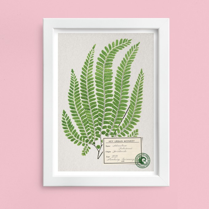 Hey Urban Monkey - A4 Poster - „Adiantum Pubescens“