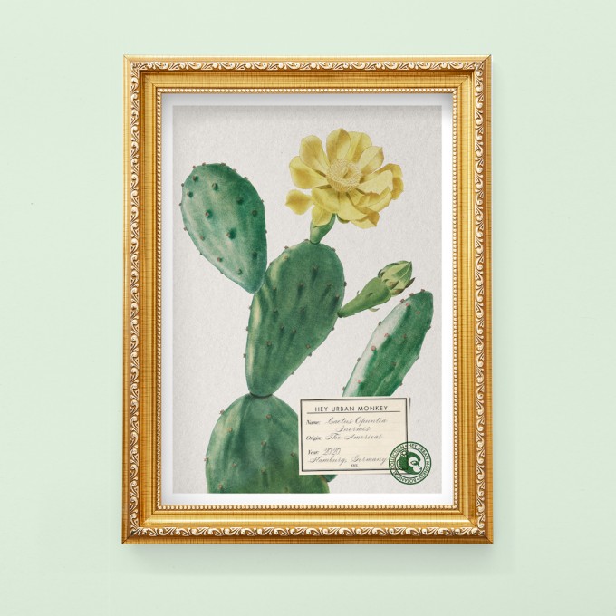 Hey Urban Monkey - A4 Poster - „Cactus Opuntia Inermis“