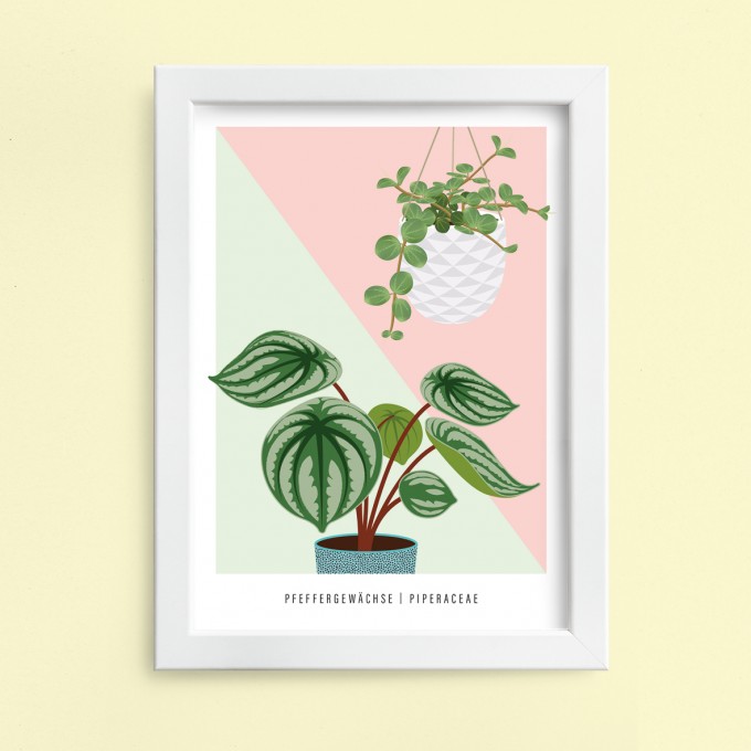 Hey Urban Monkey -
A4 Poster - „Pfeffergewächse“