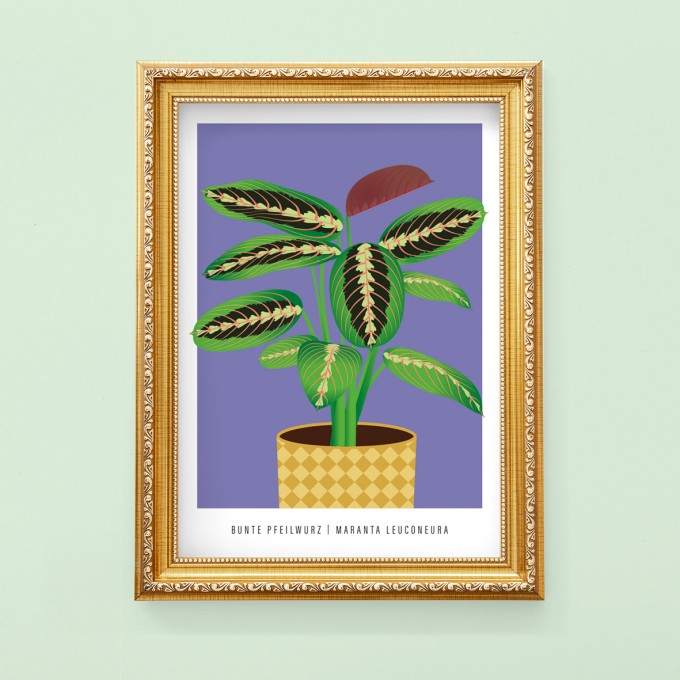 Hey Urban Monkey - A4 Poster - „Pfeilwurz“