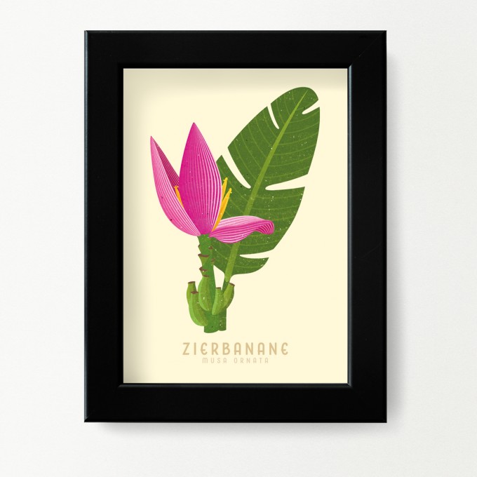 Hey Urban Monkey - A4 Poster - „Zierbanane“