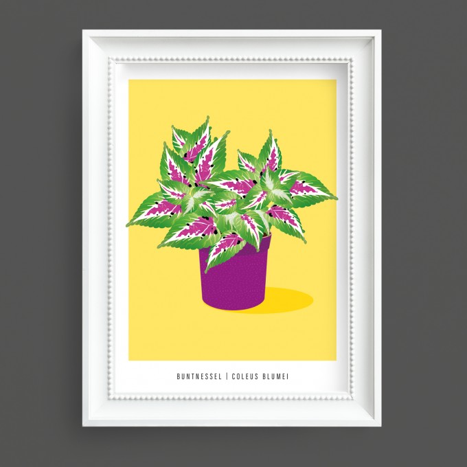 Hey Urban Monkey - A4 Poster - „Buntnessel“