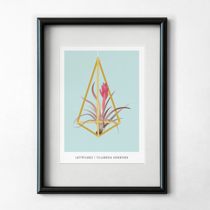 Hey Urban Monkey - A4 Poster - „Luftpflanze“