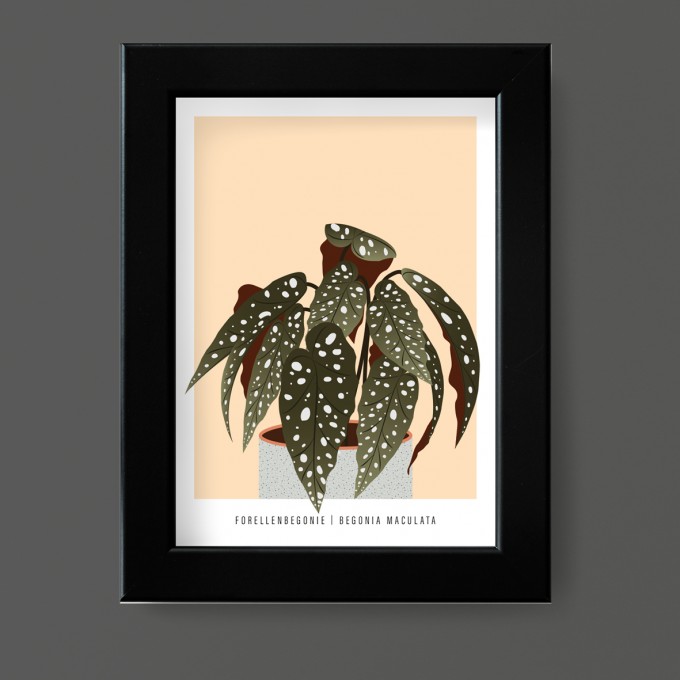 Hey Urban Monkey - A4 Poster - „Forellenbegonie“