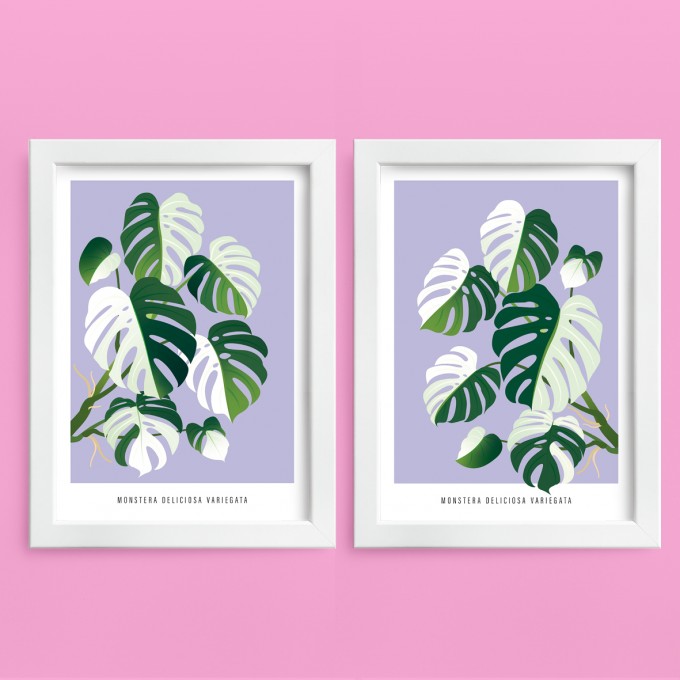 Hey Urban Monkey - A4 Doppelposter - „Monstera Varigata“