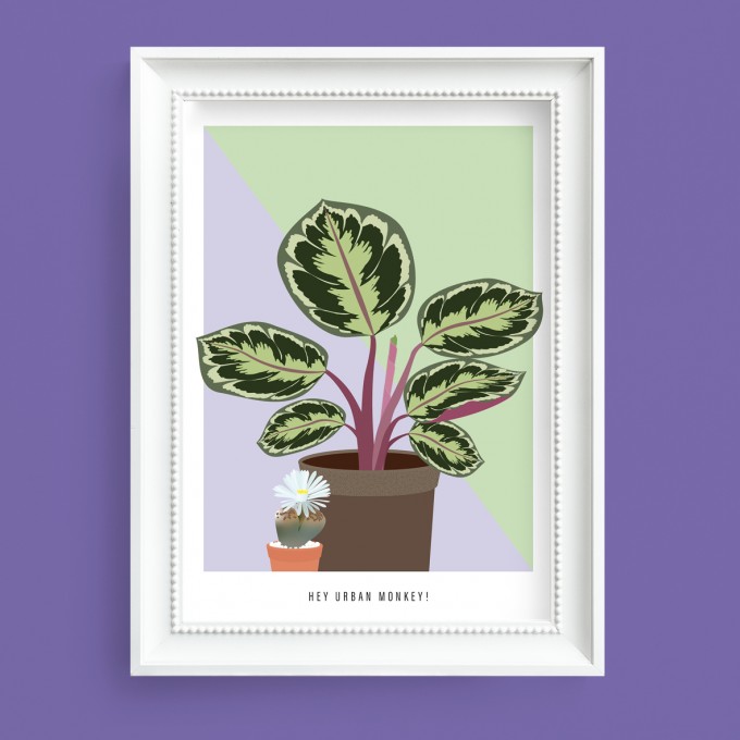 Hey Urban Monkey - A4 Poster - „Calathea Medaillon/Lebender Stein“