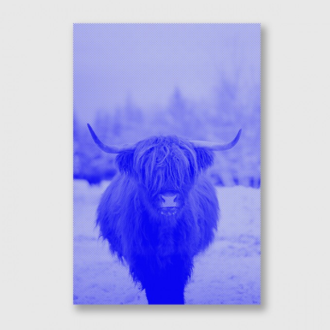 ZEITLOOPS "Highland Kettle", Druck auf Aludibond, 30x45 cm