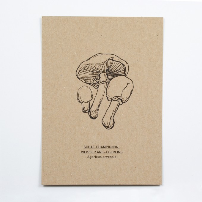 KLEINWAREN / VON LAUFENBERG Schaf-Champignon Postkarte