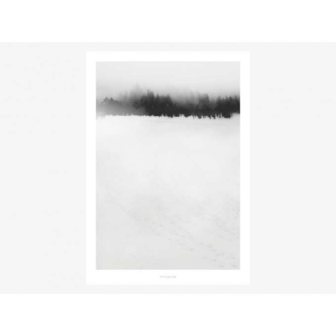 typealive / Landscape No. 30