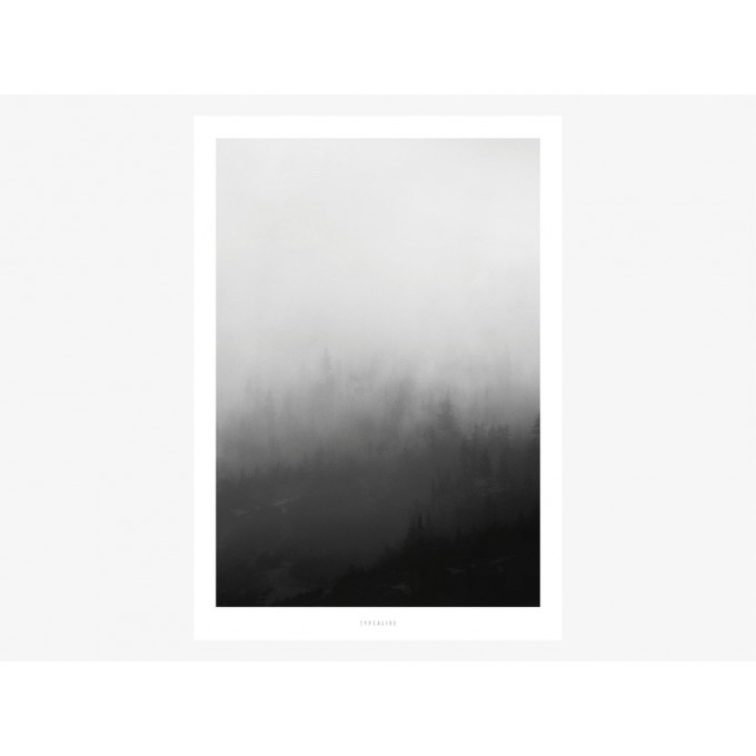 typealive / Landscape No. 31