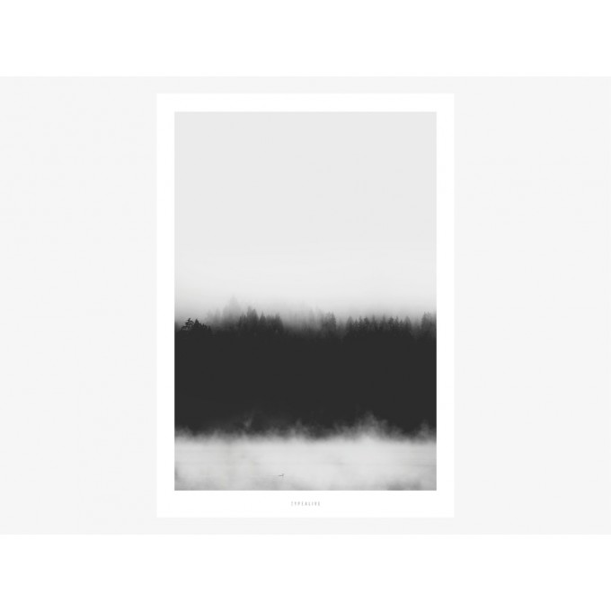 typealive / Landscape No. 37