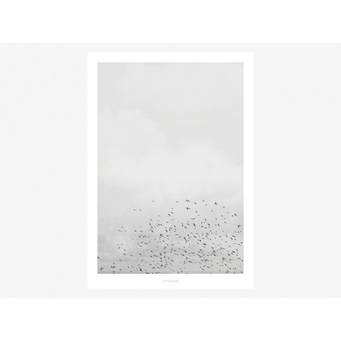 typealive / Landscape No. 41