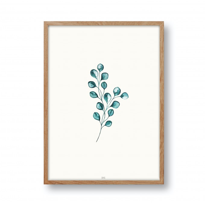 Eukalyptus Poster/Kunstdruck, DIN A4 oder A3 - SANS.