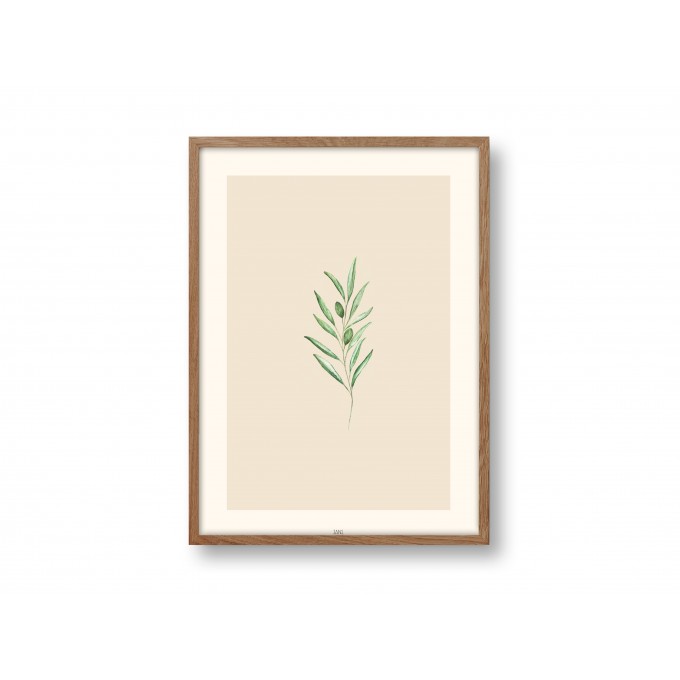 Poster A4 - Olive - SANS.