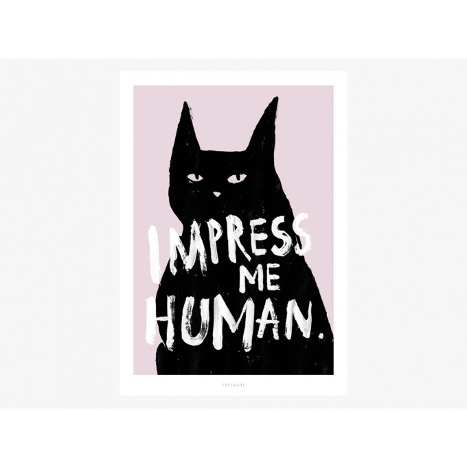 typealive / Impress Me