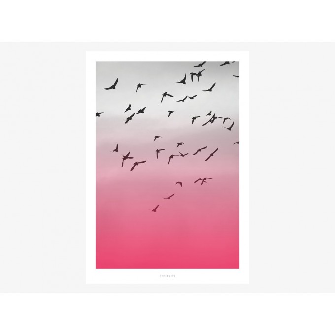 typealive / Birds No. 2