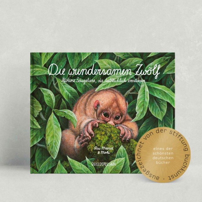 DIE WUNDERSAMEN ZWÖLF von Moki und Rae Mariz