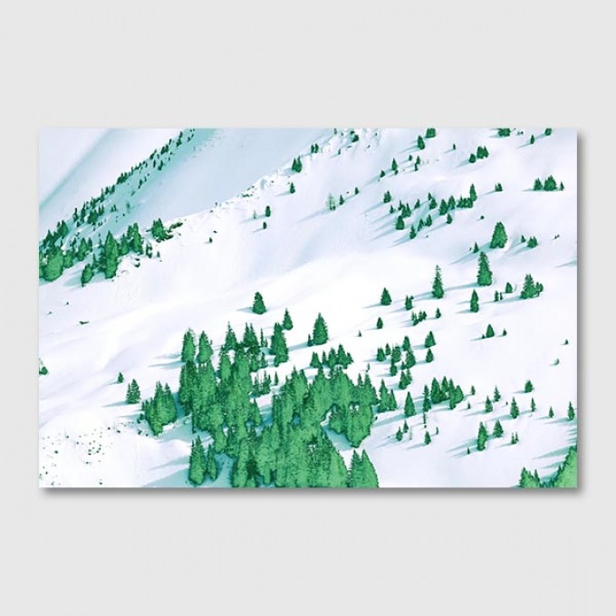ZEITLOOPS "Tannen", Posterprint 40x60 cm