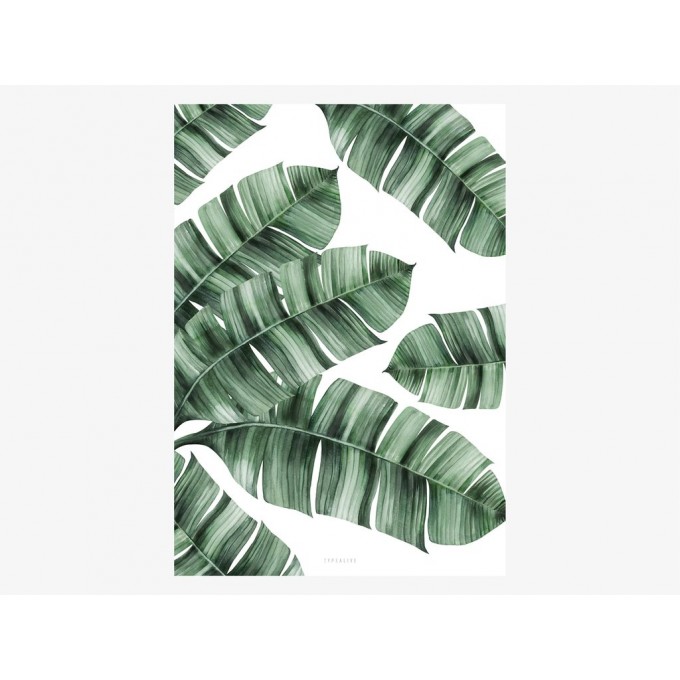 typealive / Tropical No. 8