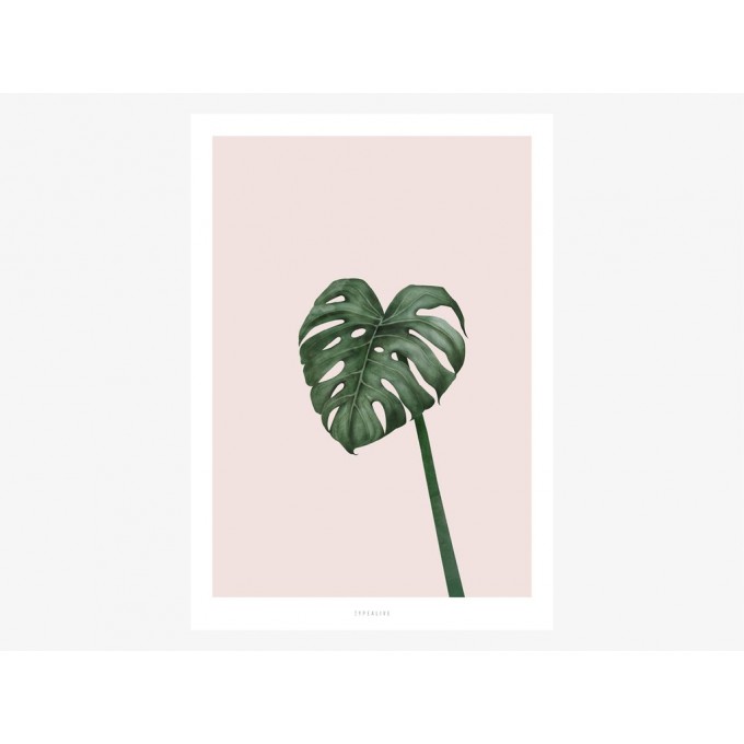 typealive / Tropical No. 10