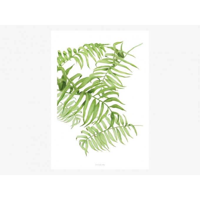 typealive / Tropical No. 1