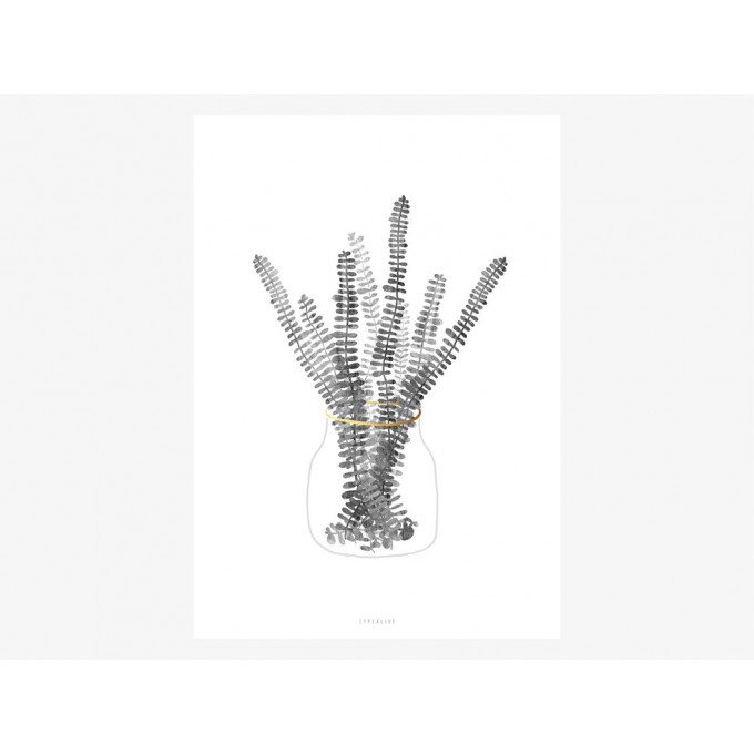typealive / Urban Jungle No. 3