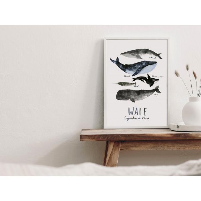 typealive / Print / Wale