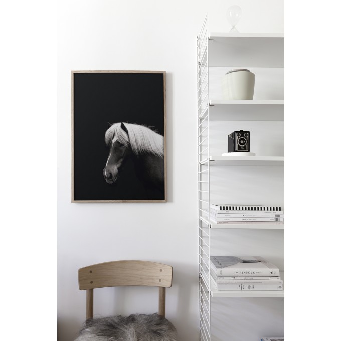Coco Lapine Design Hestur