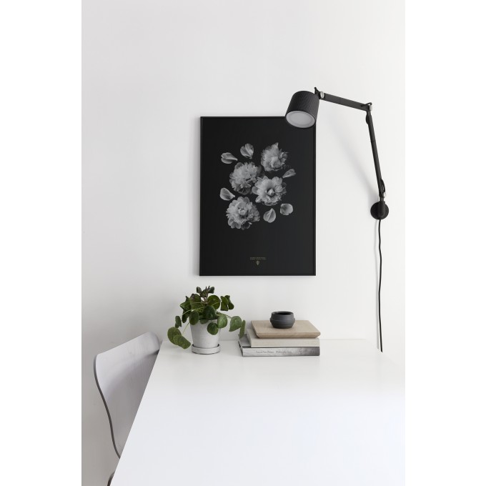 Coco Lapine Design Paeonia Officinalis
