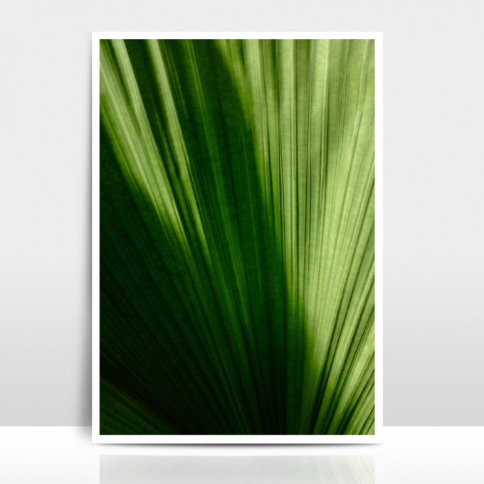 Amy & Kurt Berlin A4 Artprint "Palmenblatt"