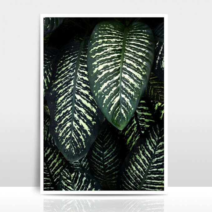 Amy & Kurt Berlin A3 Artprint "Jungle 1"