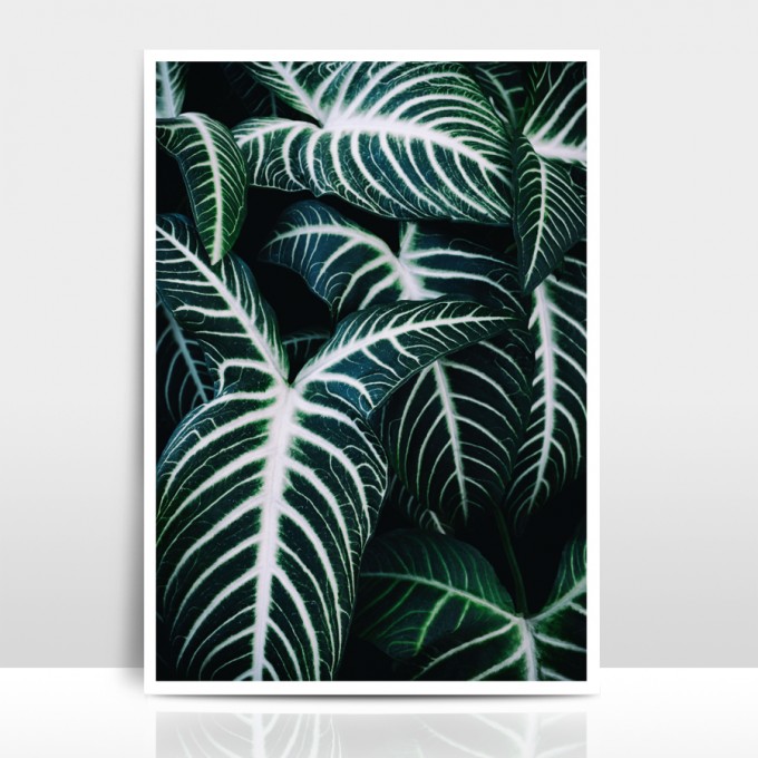 Amy & Kurt Berlin A4 Artprint "Jungle 2"