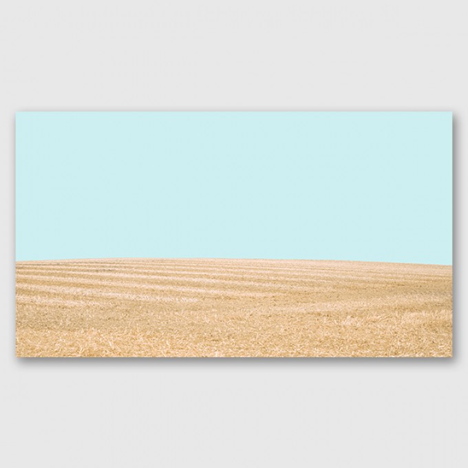 ZEITLOOPS "Fields of Gold", Posterprint, 27x48 cm