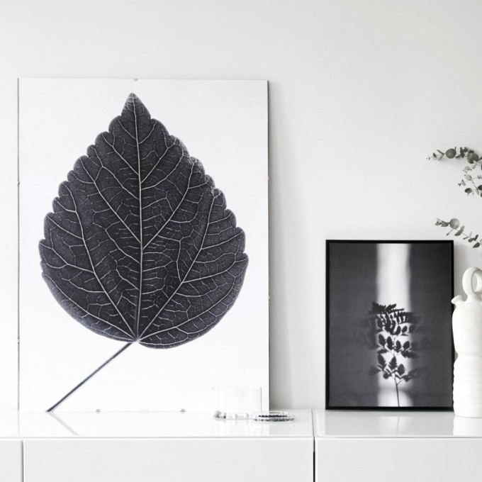 nahili ARTPRINT / POSTER "look closer HIBISCUS - black"  (DIN A1/A3 & 50x70cm) Blatt Botanic Fotografie 