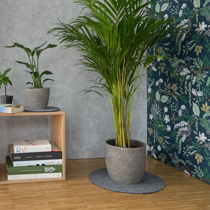 Keilbach Blumentopfunterlage flora-m, Ø 34cm, nur 9mm dick, schützt empfindliche Böden