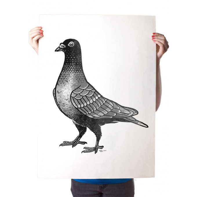 Martin Krusche – Poster »La Paloma« 50x70cm oder DINA3, Illustration