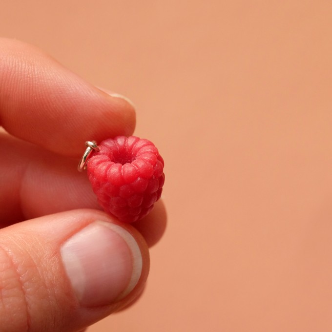 minischmidt miniGARTEN Himbeere