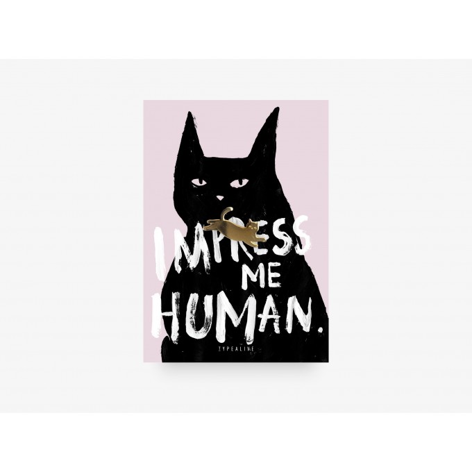 typealive / Pin / Impress Me